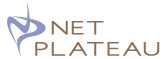 NET PLATEAU Inc.